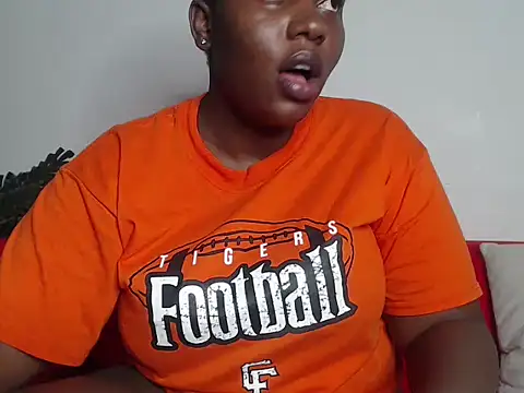 Whimsicalwillow webcam