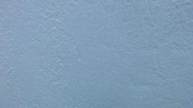 carolina_zabala_19 webcam