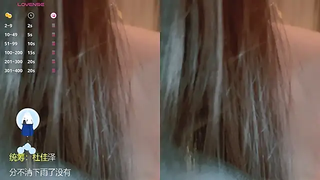 Vaidurya-Yolo webcam