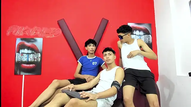 AVENGER_BOYS2026 webcam