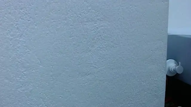 carolina_zabala_19 webcam