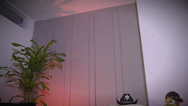 Frank_Farrell webcam