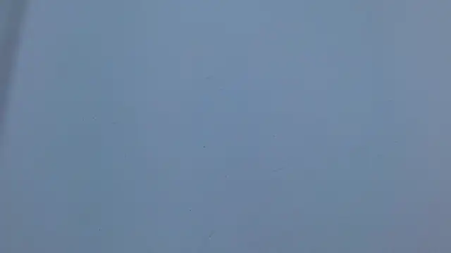 isabel_24_gil webcam