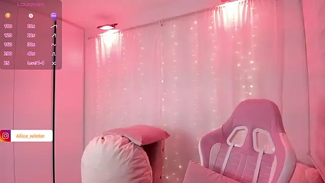 Alice_winter_ webcam