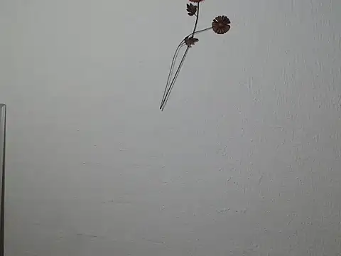 violettamartins webcam