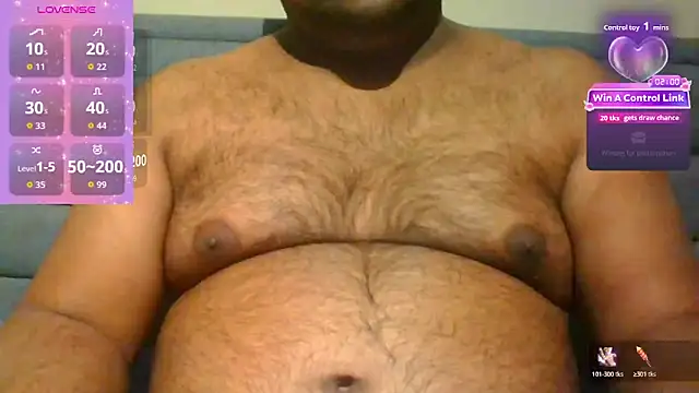 indianbearbot webcam