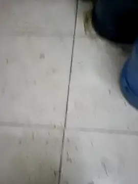 ConvoyedSubgroup webcam