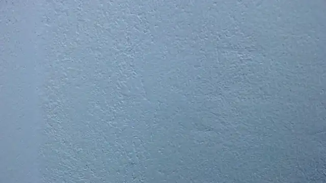 carolina_zabala_19 webcam