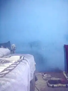 SexyLongDick2 webcam