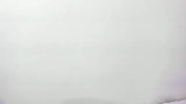 Tangled_couper webcam