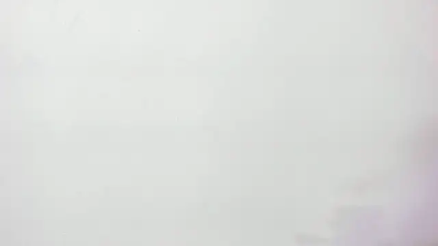 Tangled_couper webcam