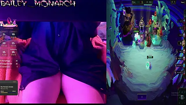 baileymonarch webcam