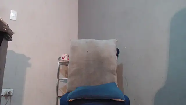 Amazing12inch webcam