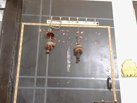 Stubborndesiboy webcam