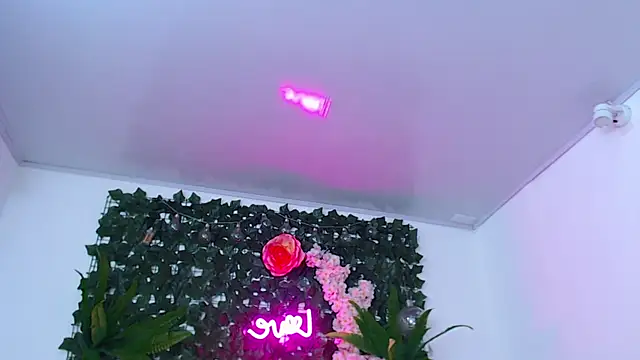 vayolet_sexy_ webcam