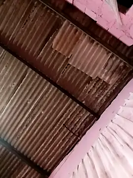 Hellentrans24 webcam