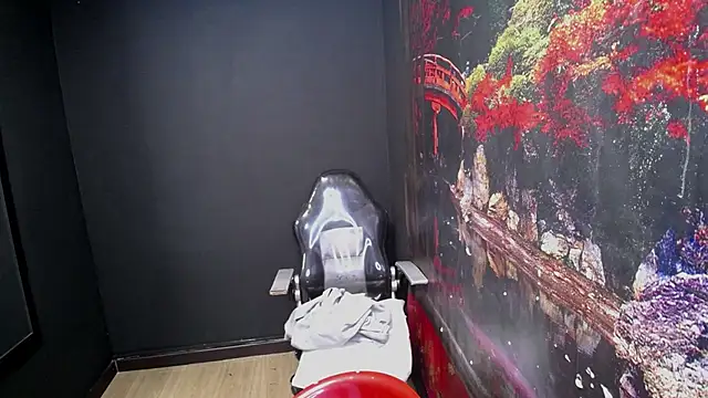 candykss (F teen) - undresses the painter