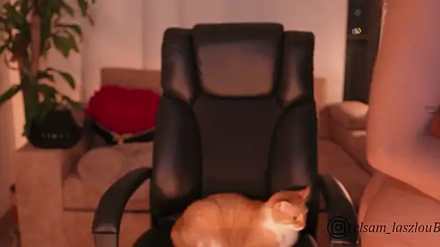 sammy_laszlow Stripchat cam model