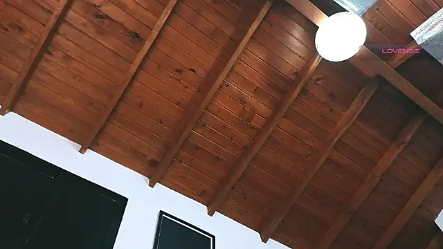 SilvaBranko's live cam