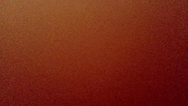 美女ZHJKS9988在线直播