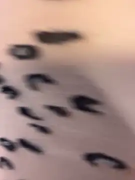  Isa__Blanc chat room