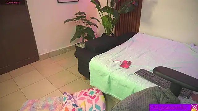 calypso_and_g2 webcam