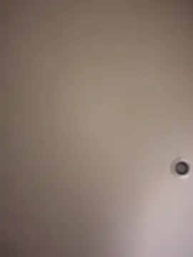 MichelleFerry_ webcam