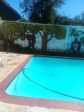 HipsDontLieX95 webcam