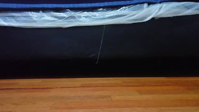 nextdoor_fantasy1 webcam