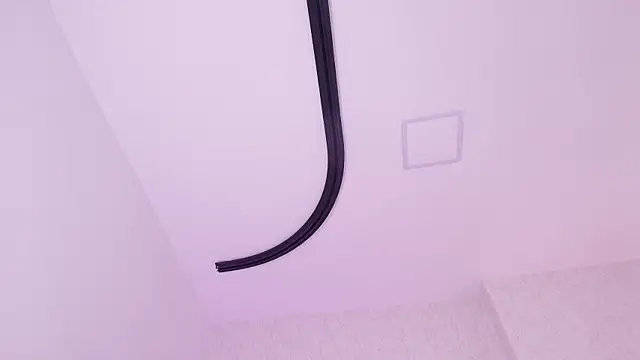 _carolina_fox webcam