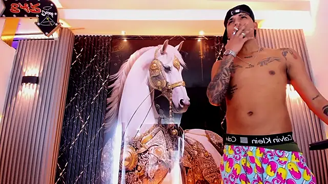 the_knights_of_the_night_ webcam