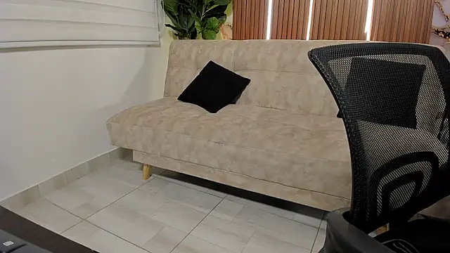 Patrick_Howland_ webcam