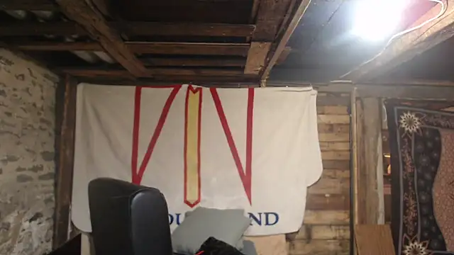 Newfiesausage1972 webcam