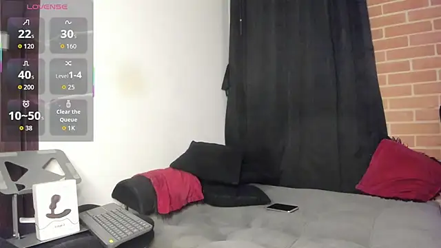 DavidX_X21_Strip webcam