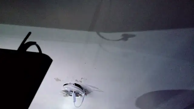 TheArcaneaSoulAlleviation webcam