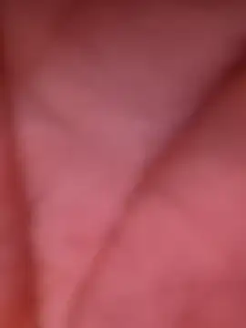 Preview of bobby69cock