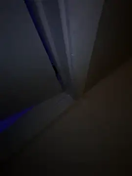 spiderrose444 (F young) - 🌹ADD LOVE SENSE TOY🌹