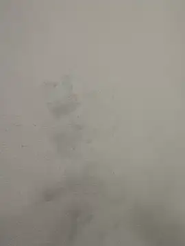 princess-meryem (F young) - Fışkırmak istiyorum boşaltın beni/squirt