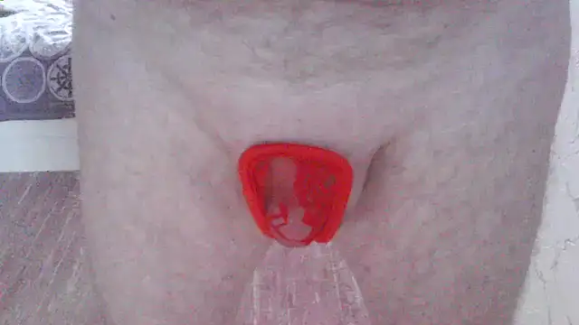 svvs27 (M mature) - life