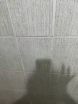 slave_pansilu webcam