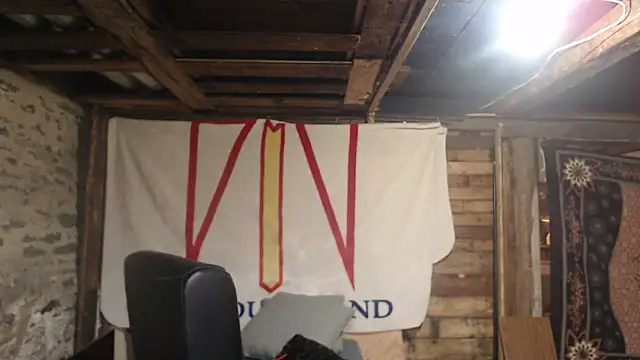 Newfiesausage1972 webcam