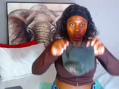 CocoBlazerx76 webcam