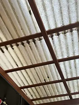 Gipsyboysteve webcam