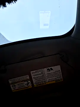 SpiderRose444 webcam