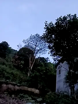 _Sex_enthusiast webcam