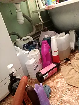 Preview of pen_janis