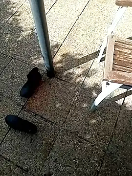 dicklife3485 live sex cam