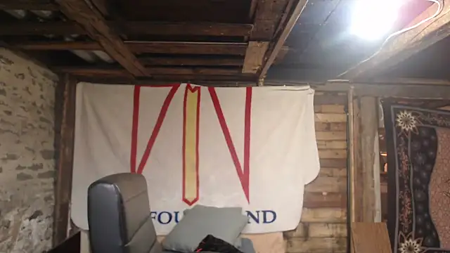 Newfiesausage1972 webcam