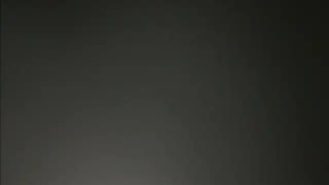 Triggerhappycj100 webcam