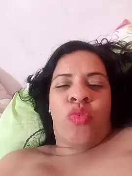 lapatronav2026 webcam